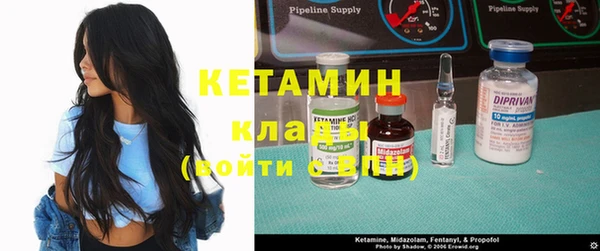 шишки Абаза
