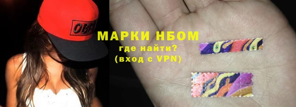шишки Абаза