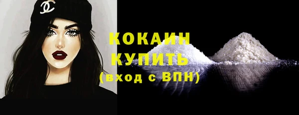 шишки Абаза