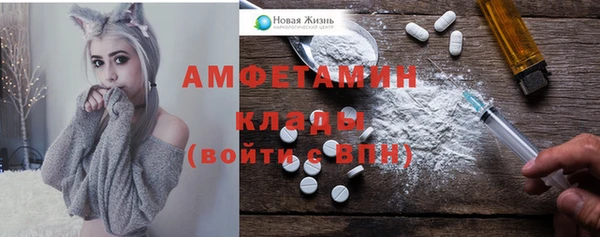 шишки Абаза