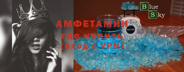 шишки Абаза