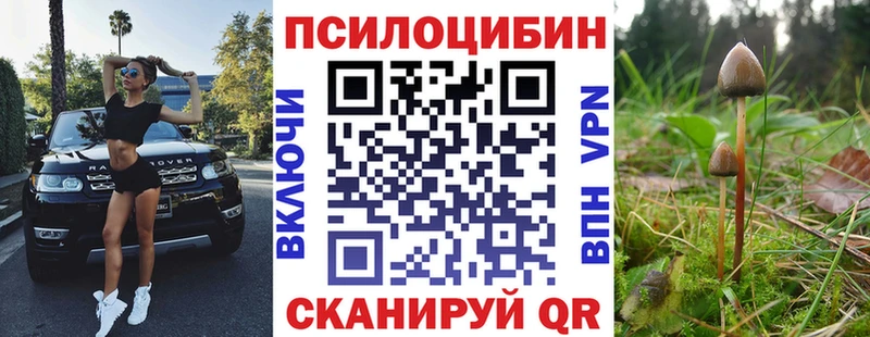 сколько стоит  МЕГА tor  Псилоцибиновые грибы Magic Shrooms  Усмань 